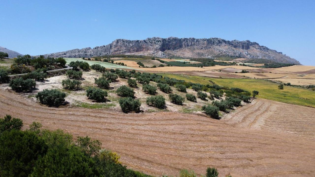 La Posada Del Torcal Villanueva de la Concepcion Ngoại thất bức ảnh